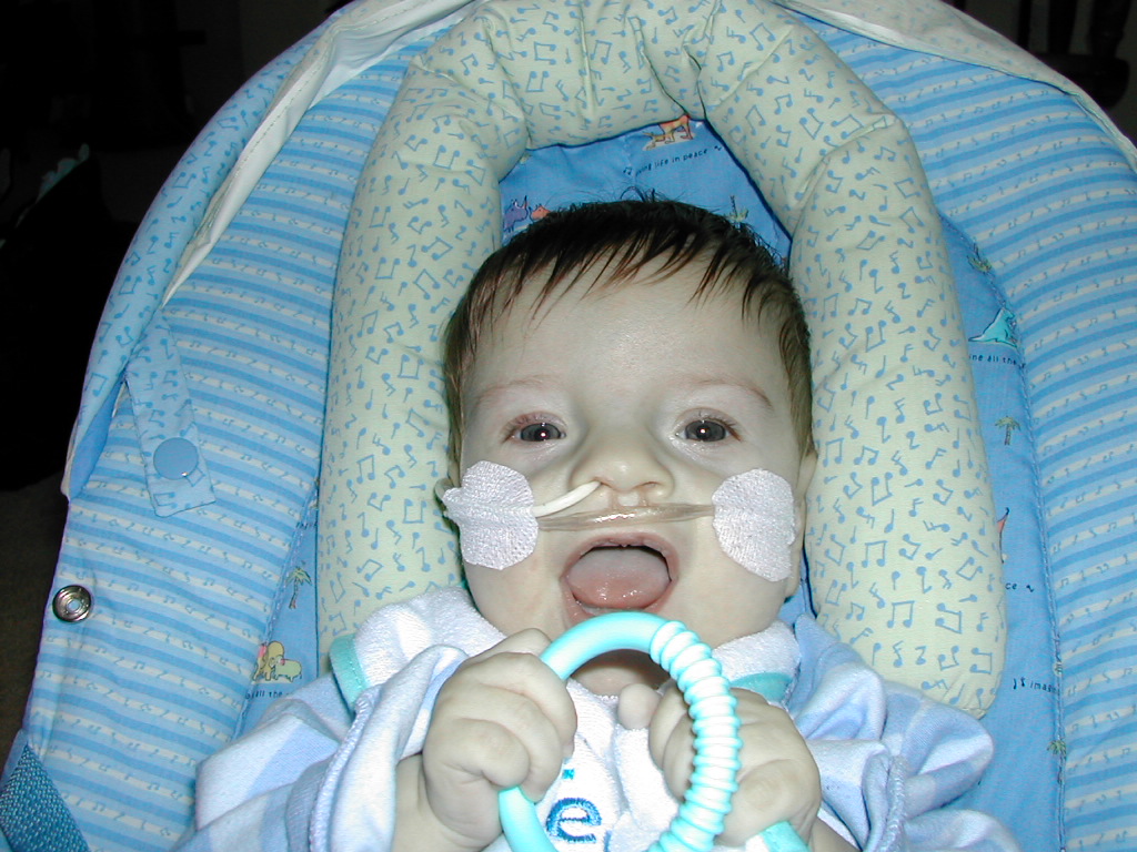 1002x745 pixels (279K)